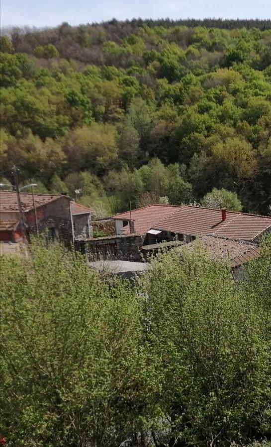 Villa A Casa Dos Avos Celanova Esterno foto