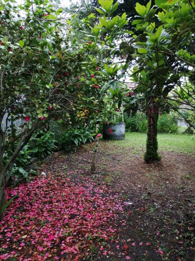 Villa A Casa Dos Avos Celanova Esterno foto