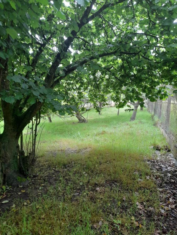 Villa A Casa Dos Avos Celanova Esterno foto